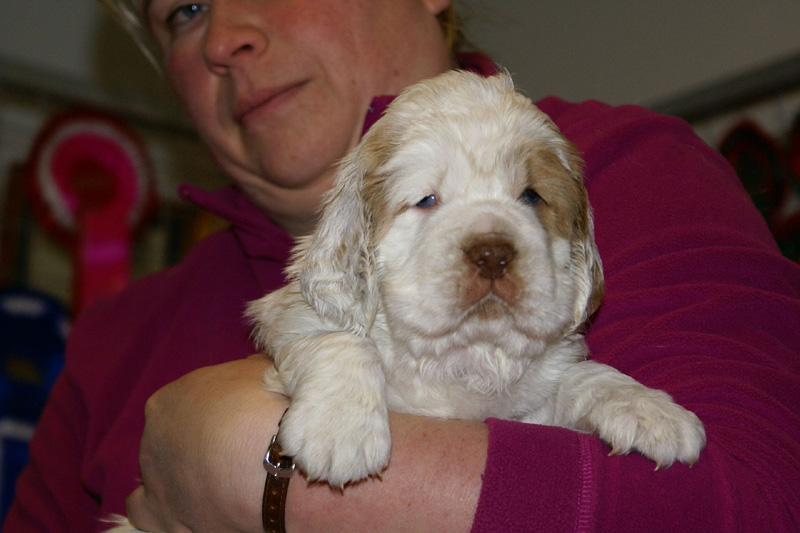 x_boy_pink_almost_5weeks_l