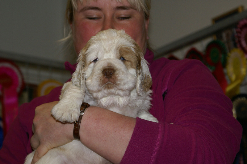 x_boy_pink_almost_5weeks_n