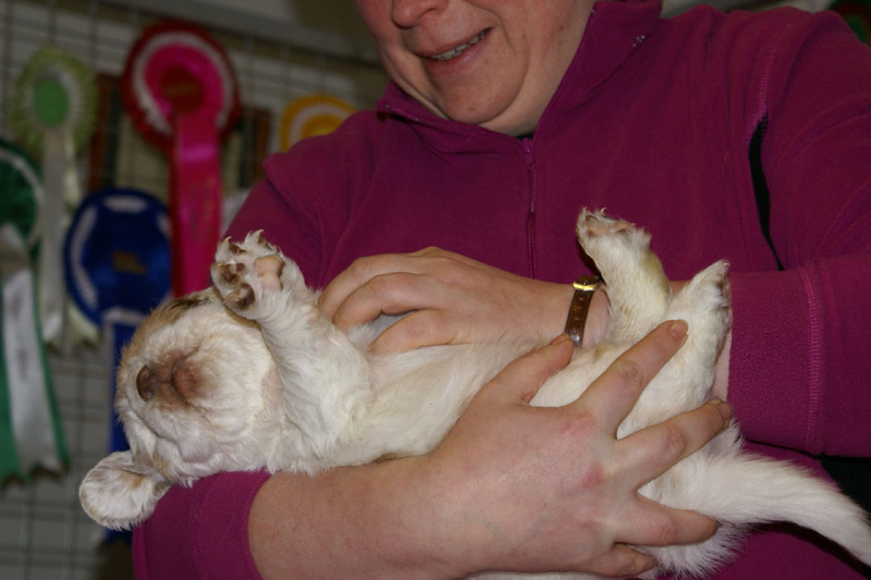 x_boy_pink_almost_5weeks_o