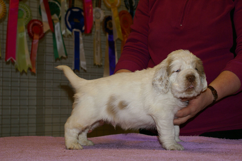 x_boy_pink_almost_5weeks_p