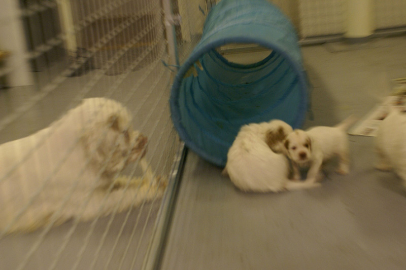 x_boy_pink_almost_5weeks_q