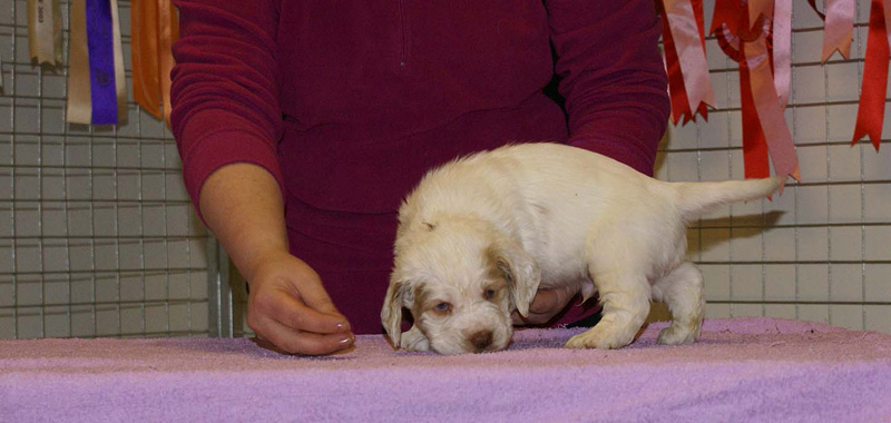 x_boy_purple_almost_5weeks