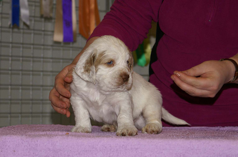 x_boy_purple_almost_5weeks_b