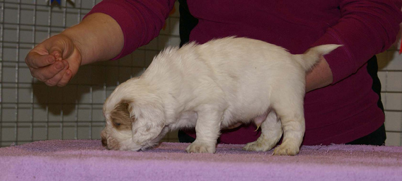 x_boy_purple_almost_5weeks_c