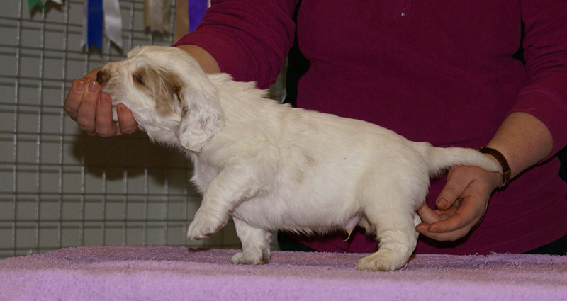 x_boy_purple_almost_5weeks_d