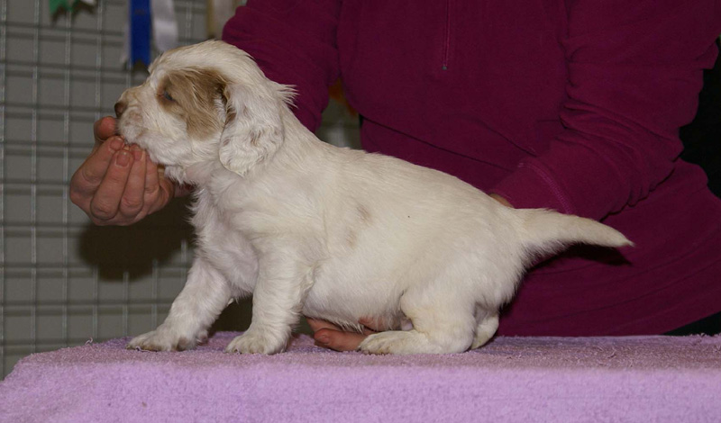 x_boy_purple_almost_5weeks_e