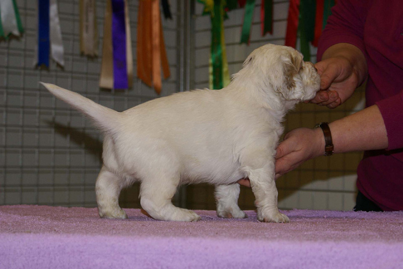 x_boy_purple_almost_5weeks_g