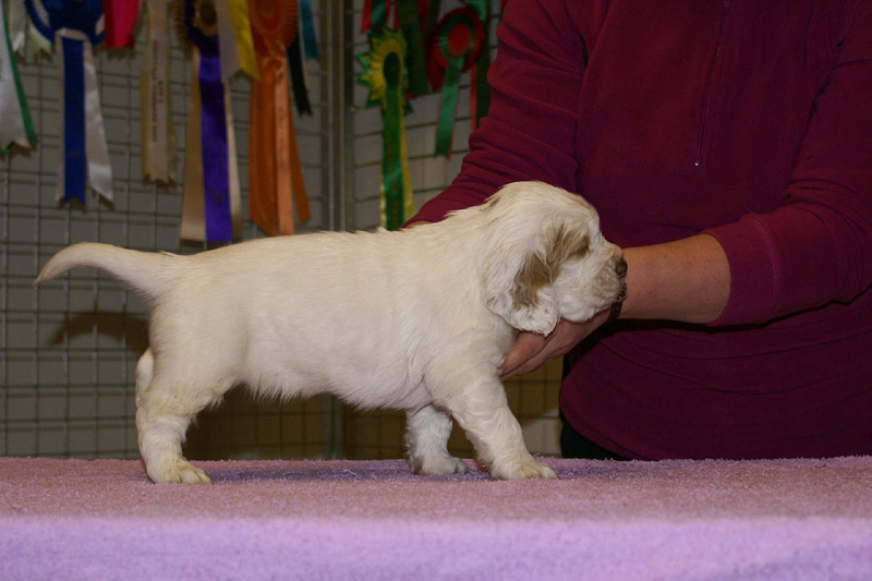 x_boy_purple_almost_5weeks_h