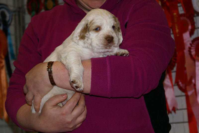 x_boy_purple_almost_5weeks_i