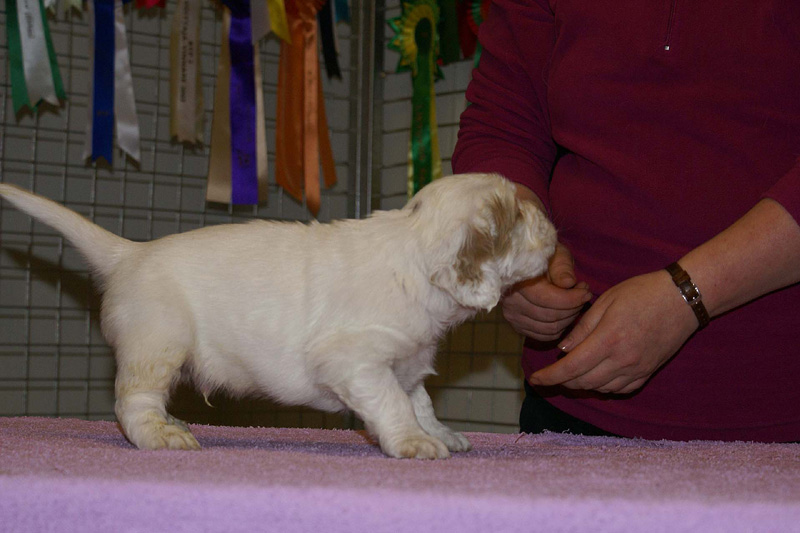 x_boy_purple_almost_5weeks_j