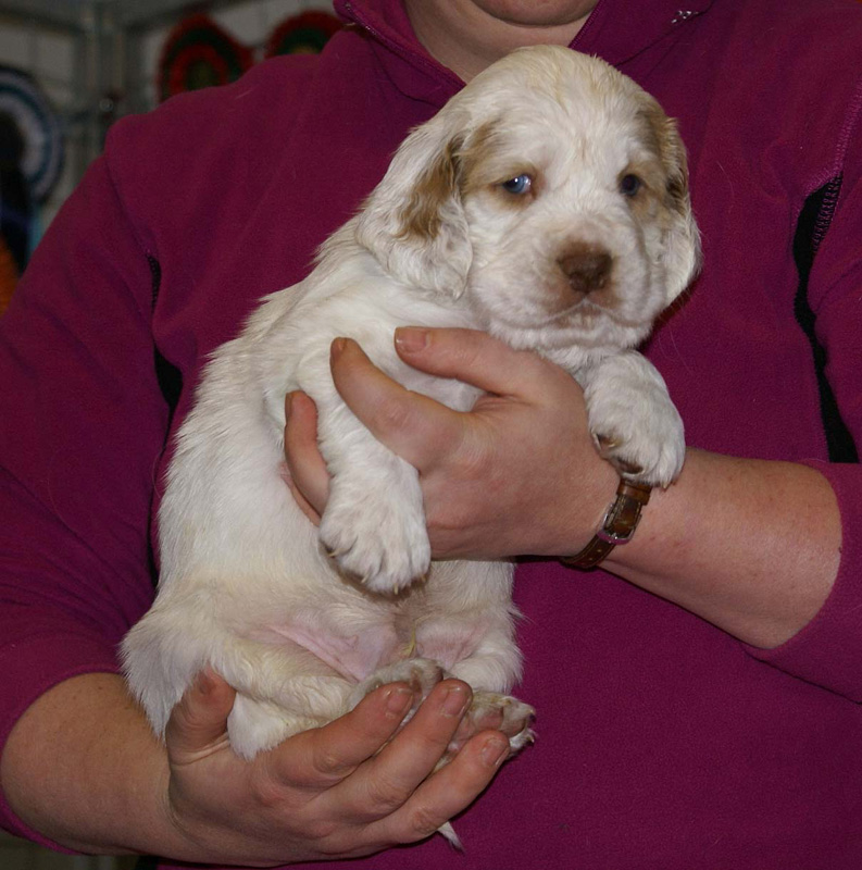 x_boy_purple_almost_5weeks_l