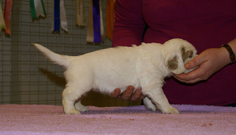 x_girl_blue_almost_5weeks