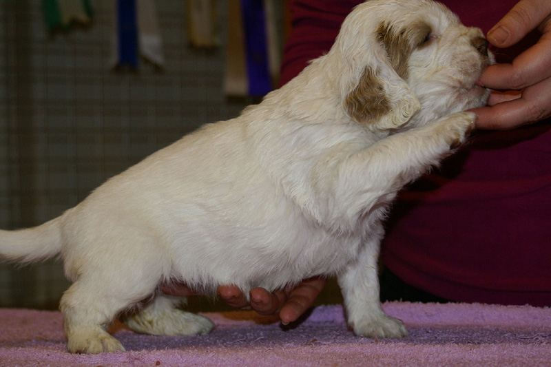 x_girl_blue_almost_5weeks_b