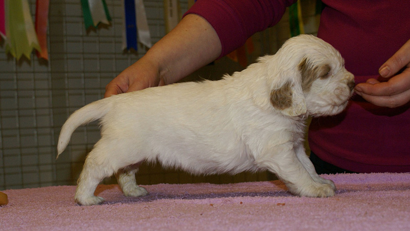 x_girl_blue_almost_5weeks_c