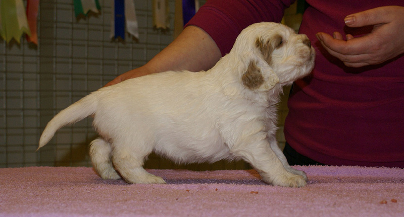 x_girl_blue_almost_5weeks_d