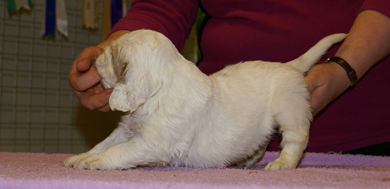 x_girl_blue_almost_5weeks_g