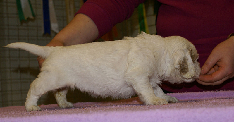 x_girl_blue_almost_5weeks_h