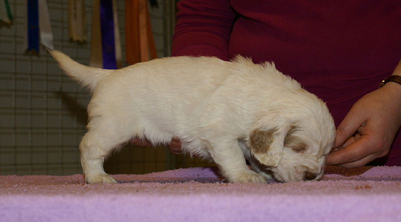 x_girl_blue_almost_5weeks_i