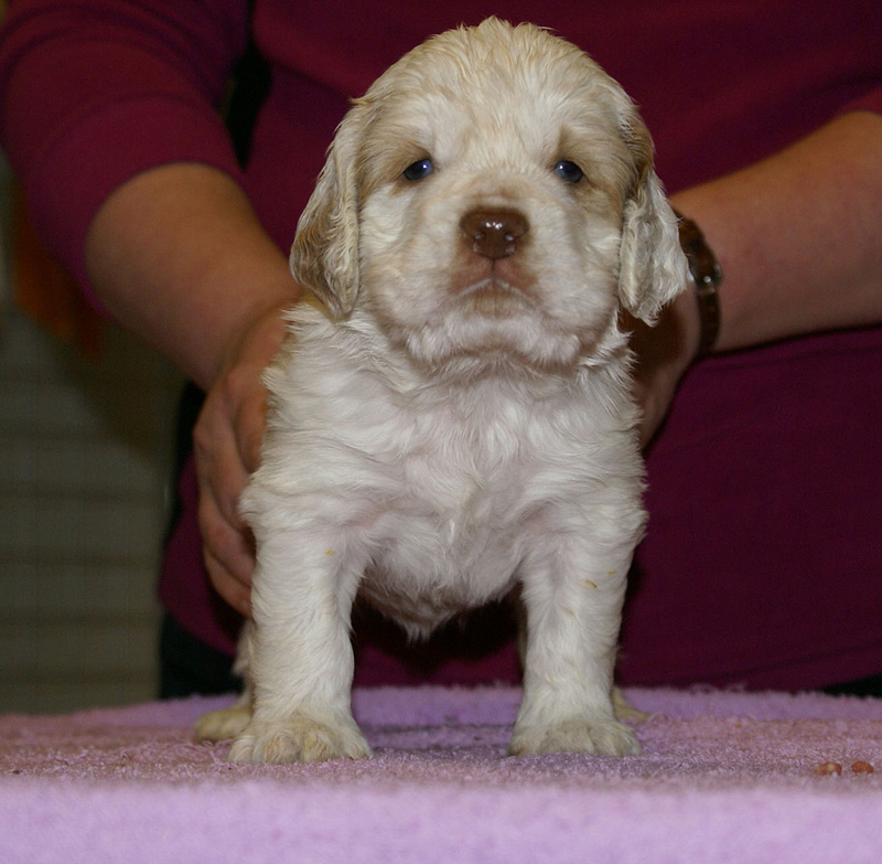 x_girl_blue_almost_5weeks_k