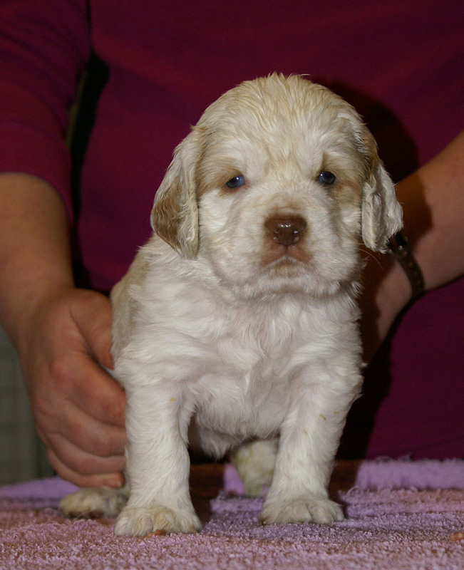 x_girl_blue_almost_5weeks_l