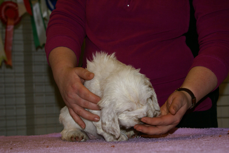 x_girl_bronze_almost_5weeks_b