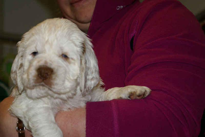 x_girl_bronze_almost_5weeks_c