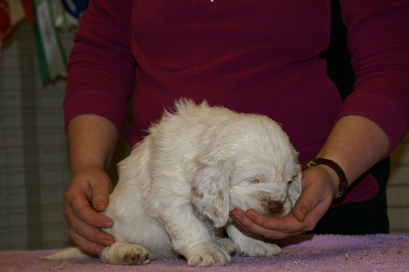 x_girl_bronze_almost_5weeks_d