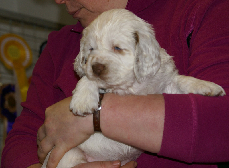 x_girl_bronze_almost_5weeks_e