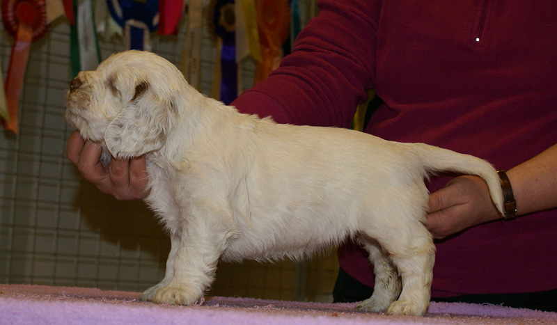 x_girl_bronze_almost_5weeks_f