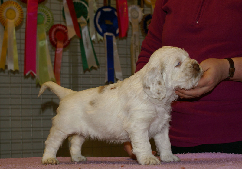 x_girl_bronze_almost_5weeks_g