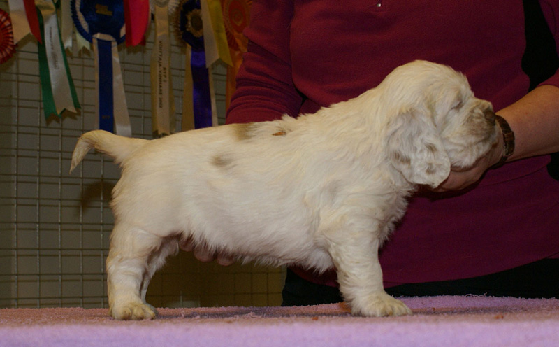 x_girl_bronze_almost_5weeks_h