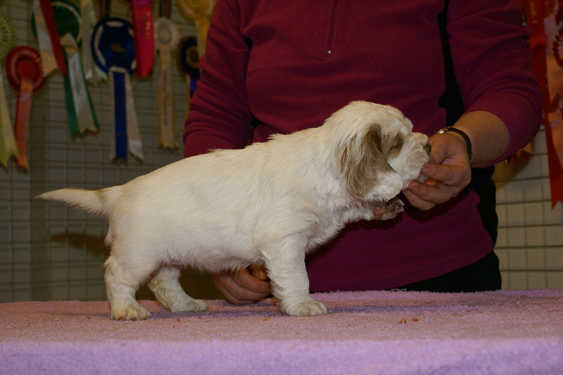 x_girl_green_almost_5weeks