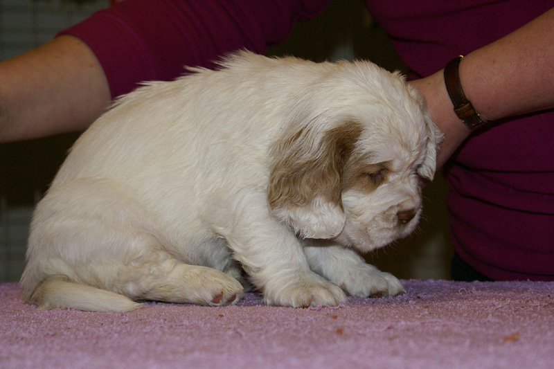 x_girl_green_almost_5weeks_b