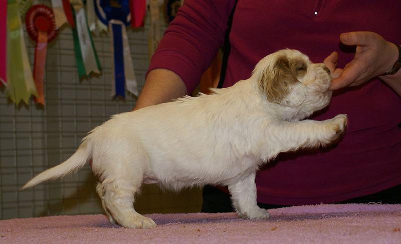 x_girl_green_almost_5weeks_d