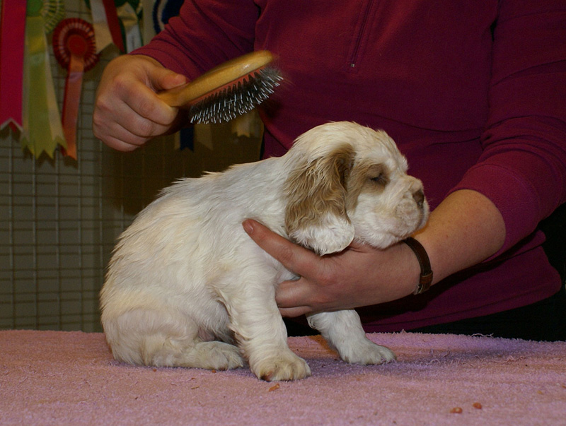 x_girl_green_almost_5weeks_e