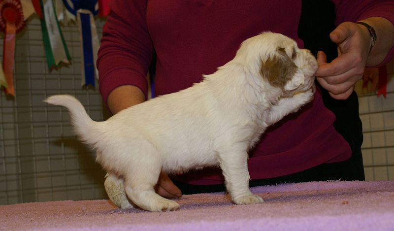 x_girl_pink_almost_5weeks