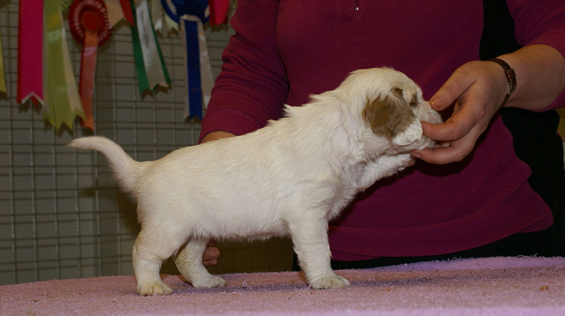 x_girl_pink_almost_5weeks_b