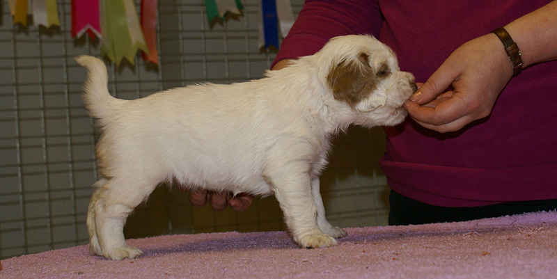 x_girl_pink_almost_5weeks_c