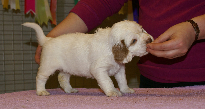 x_girl_pink_almost_5weeks_f