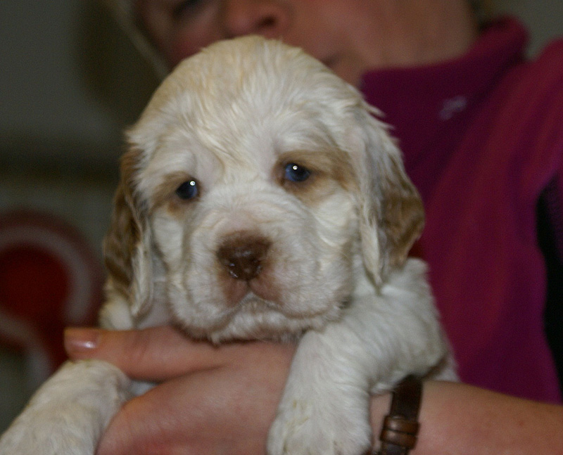 x_girl_pink_almost_5weeks_k