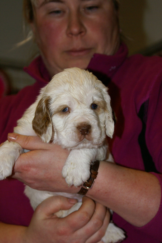 x_girl_pink_almost_5weeks_m