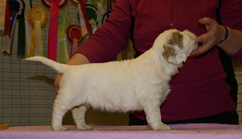 x_girl_purple_almost_5weeks_e