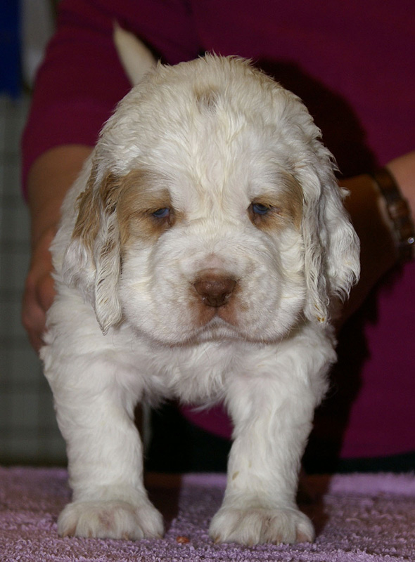 x_girl_purple_almost_5weeks_g