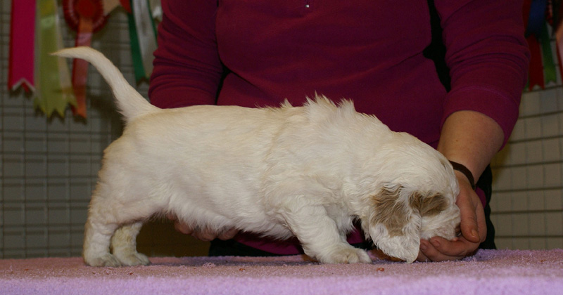 x_girl_purple_almost_5weeks_h