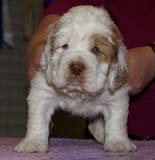 x_boy_pink_almost_5weeks_i