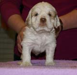 x_girl_blue_almost_5weeks_k