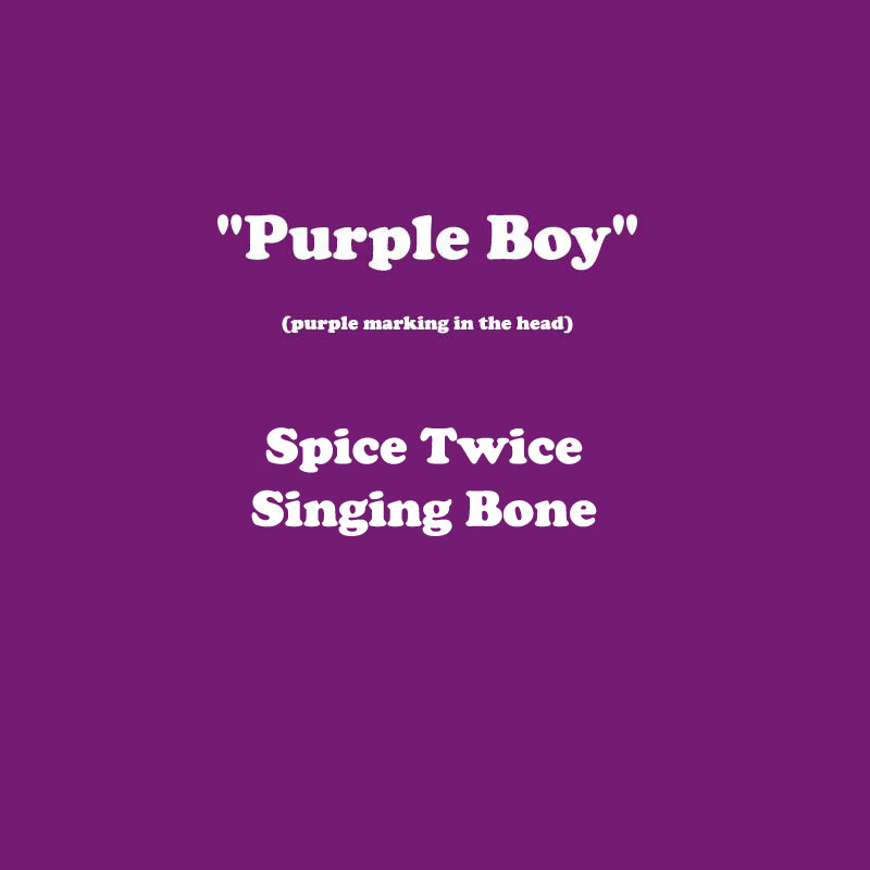 X_BOY_PURPLE