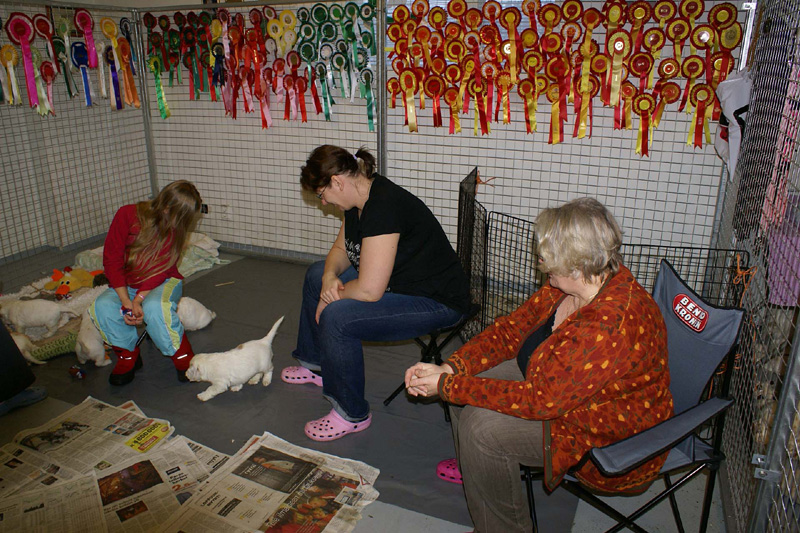 a_pups_nearly_6weeks_a