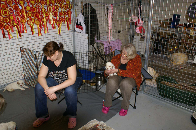 a_pups_nearly_6weeks_c