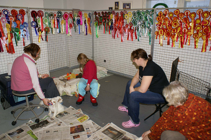 a_pups_nearly_6weeks_e